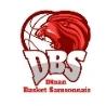 DINAN BASKET SAMSONNAIS